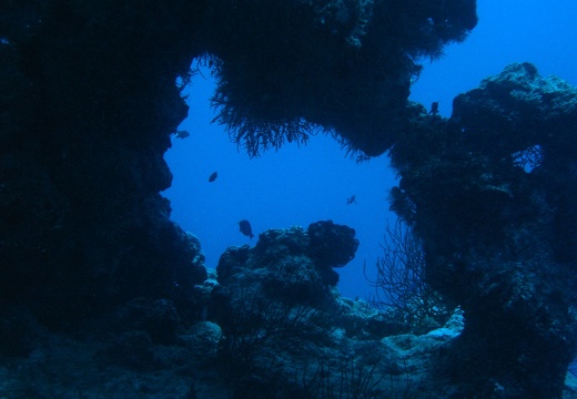 海底 19