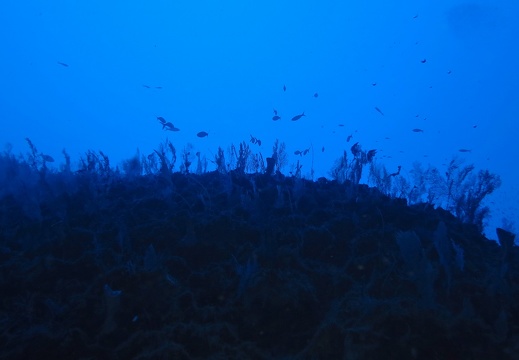 海底 70