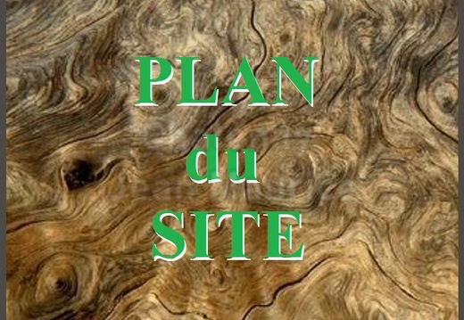 Plan Du Site (Arborescence)