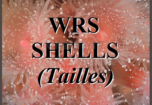 Shells Diverses WRS (All) (Sizes)
